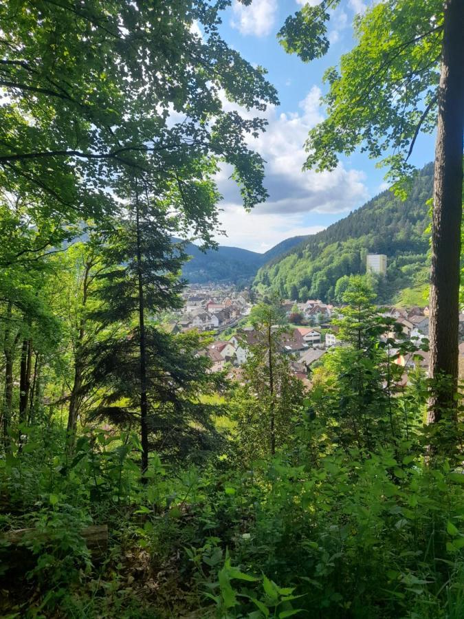 Ferienwohnung Am Enzufer Mit Balkon In Bad Wildbad Im Schwarzwald מראה חיצוני תמונה